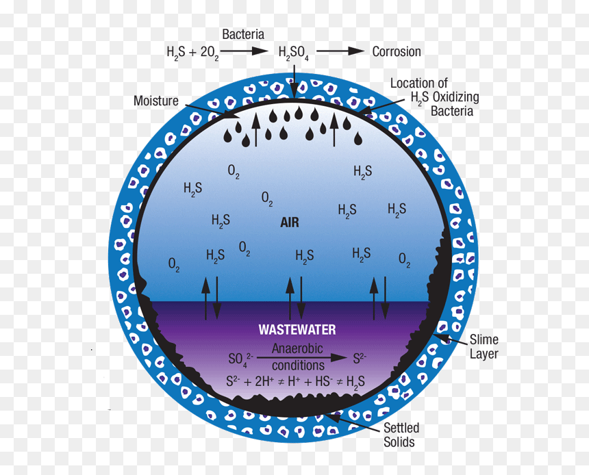 Page56 - Corrosion In Sewer Pipes, HD Png Download - sewer png
