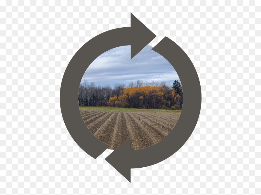 Crossed Out Circle Png, Transparent Png - crossed out circle png