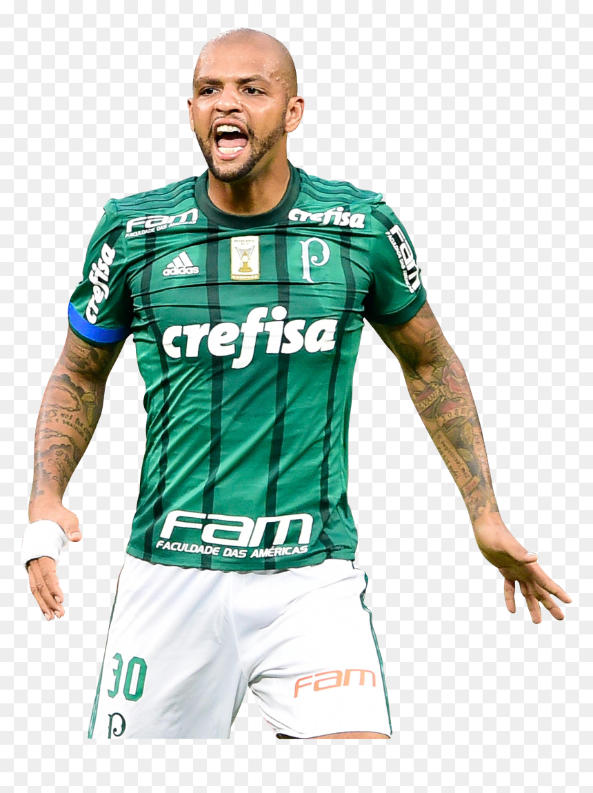 Felipe Melo render - Football Player, HD Png Download - palmeiras png
