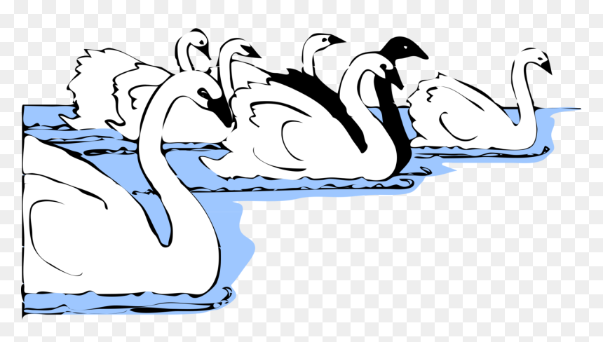 Art,text,beak - Many Swans Clipart, HD Png Download - black swan png