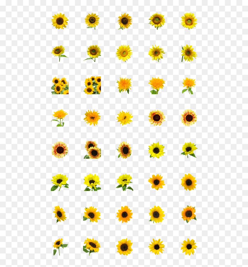 Technical Icons, HD Png Download - sunflower emoji png