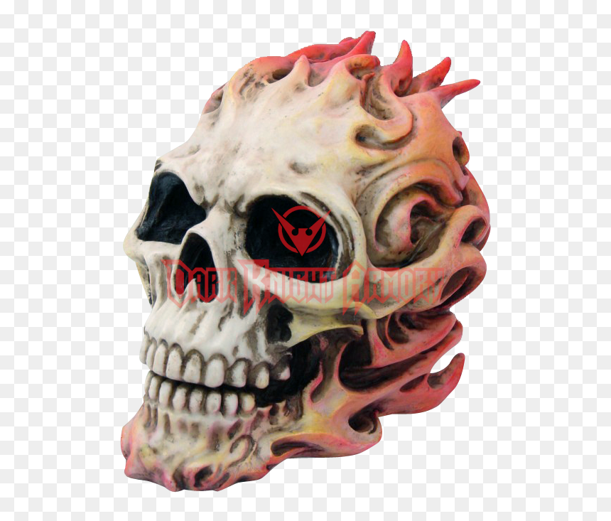 Blazing Fire Skull Cc9705 From Dark Knight Armoury - Skull, HD Png Download - flaming skull png