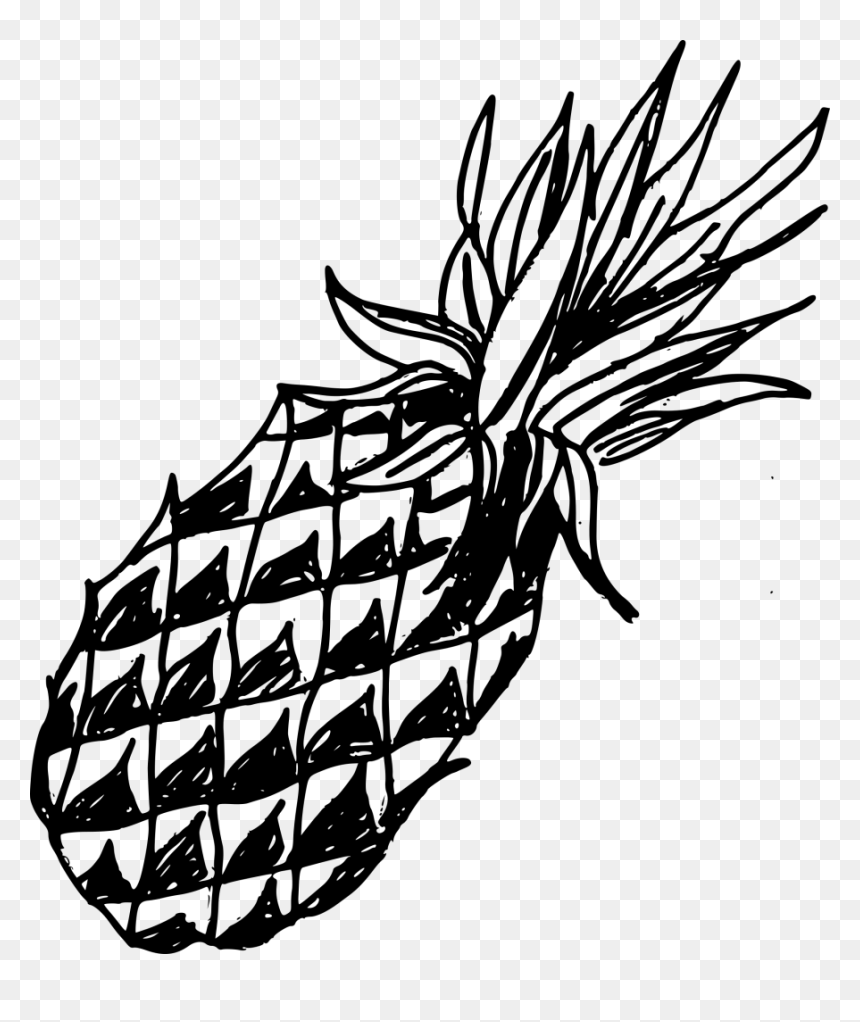 Clip Art, HD Png Download - fish drawing png