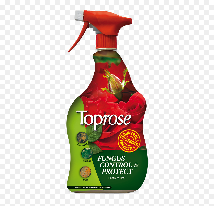 Toprose Fungus Control, HD Png Download - killer frost png