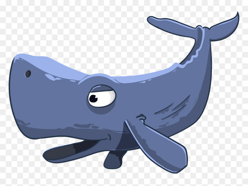 Sperm Whale Kit Floaters Free Photo - Cartoon Whale With Open Mouth, HD Png Download - whale tail png