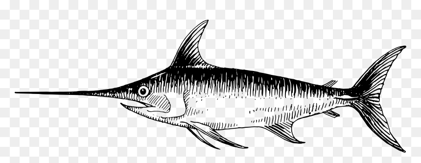 Swordfish Fish Transprent Png - Swordfish Black And White, Transparent Png - fish drawing png