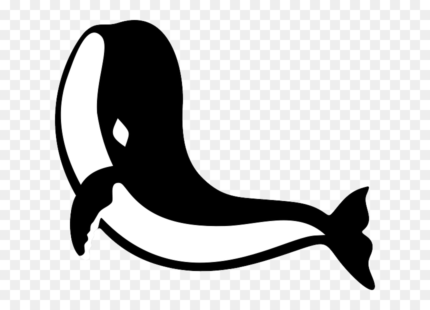 Whale, Fish, Sea Life - Png Baleia, Transparent Png - whale tail png