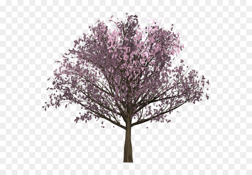 Vector Graphics, HD Png Download - pink tree png