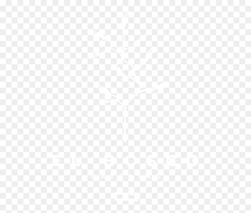 Johns Hopkins Logo White, HD Png Download - rustic heart png