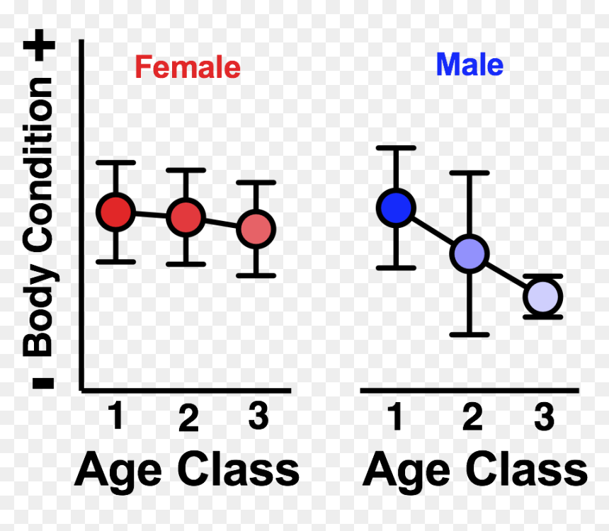 Males Show A Decline In Body Condition With Age That - Technically The Glass Is Always, HD Png Download - fat albert png