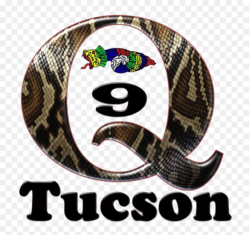 Switch, HD Png Download - quetzalcoatl png
