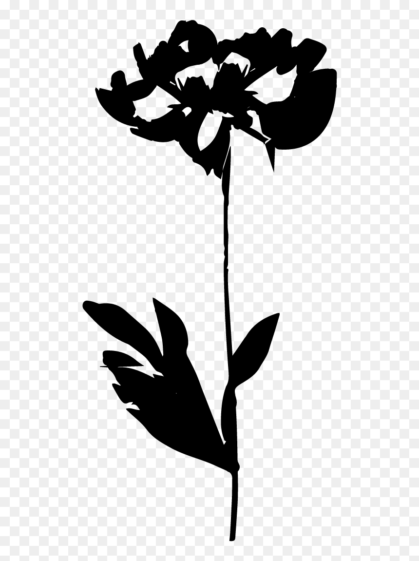 Transparent Paper Flowers Png - Illustration, Png Download - flowers silhouette png