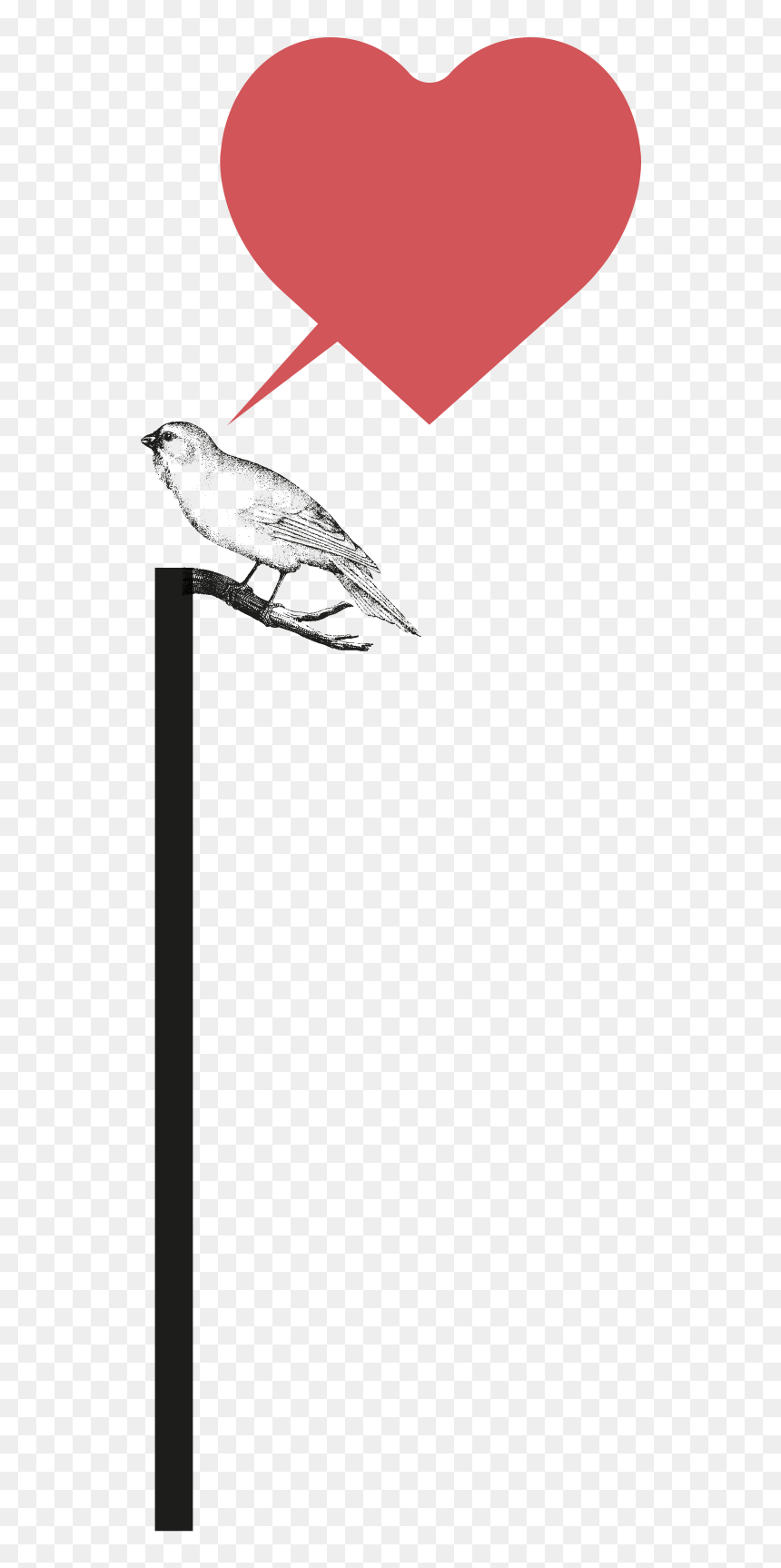 Budgie, HD Png Download - rustic heart png