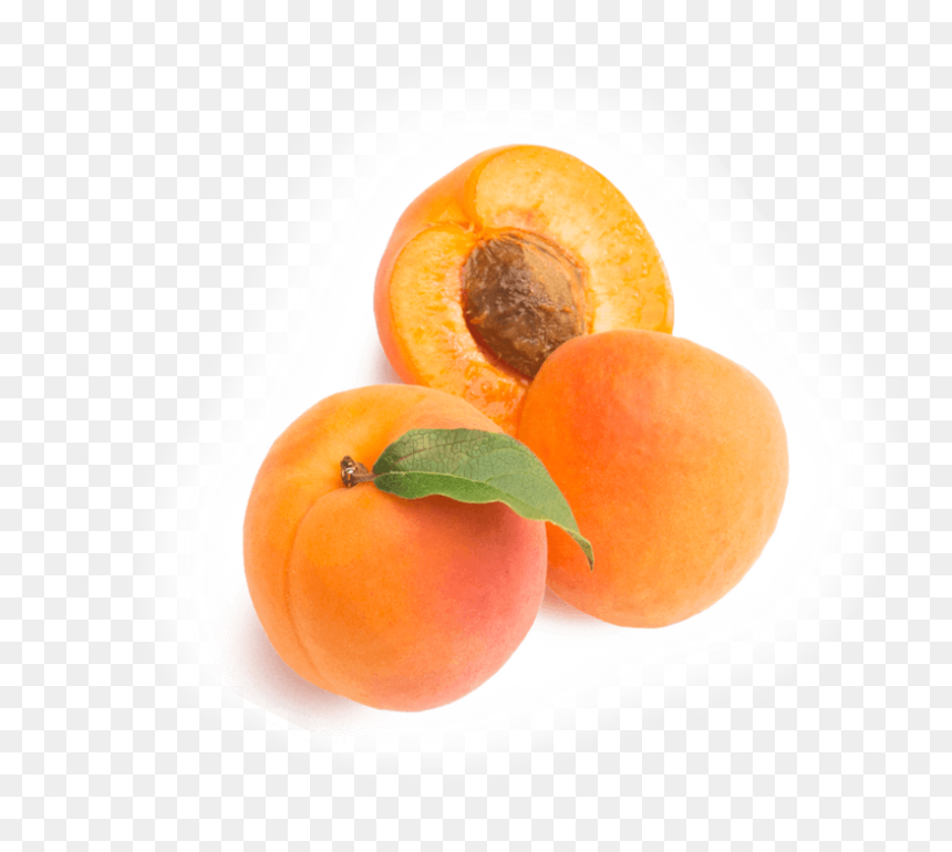 Tangerine , Png Download - Clementine, Transparent Png - tangerine png