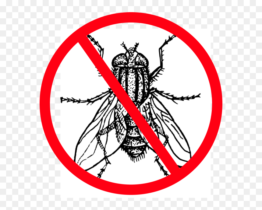 Flies Clipart Harmful Insect - Fly Clipart Black And White, HD Png Download - house fly png