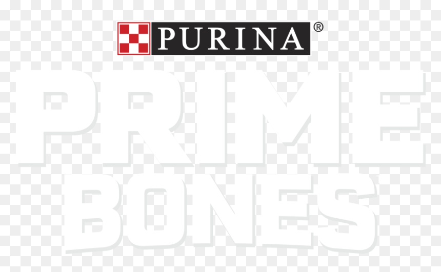 Dog Chow, HD Png Download - dog bones png