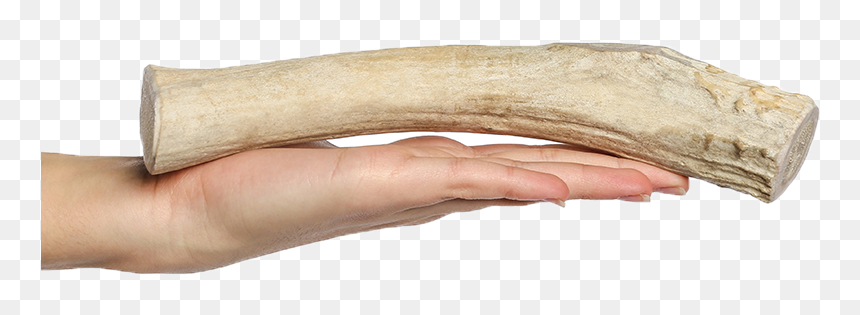 Long-lasting Dog Chews - Long Lasting Dog Chews, HD Png Download - dog bones png