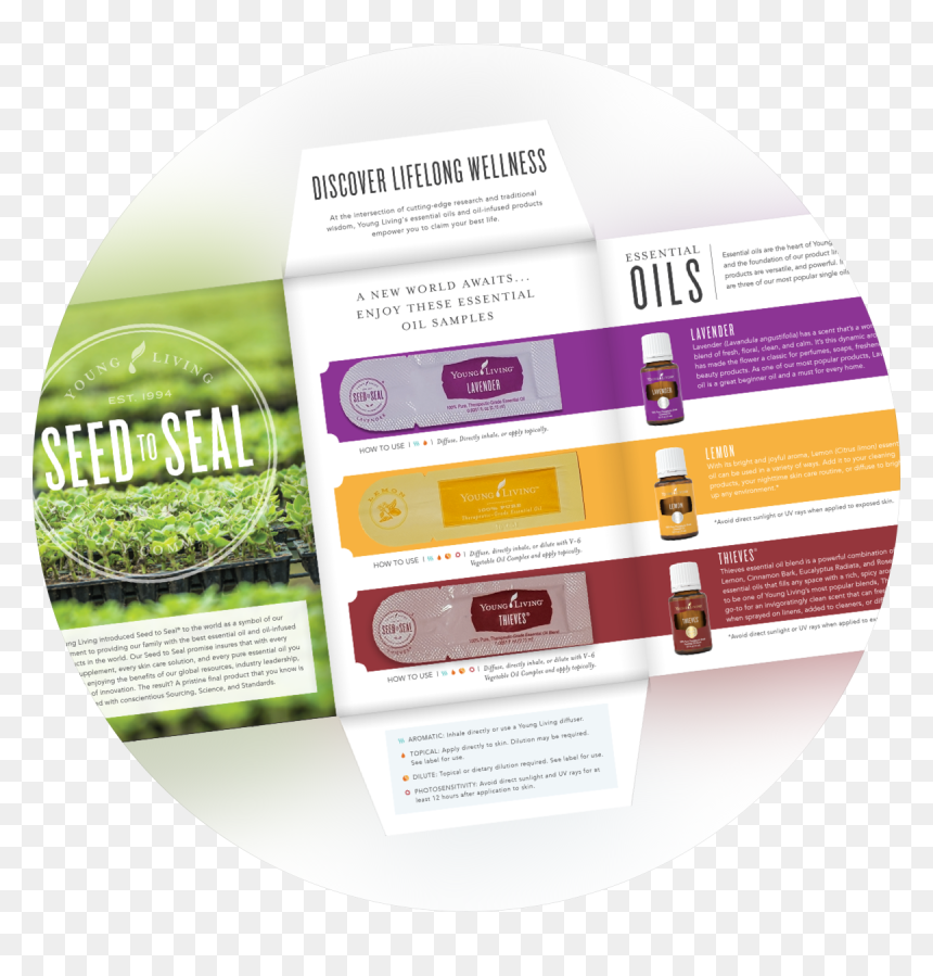 Young Living Essential Oils - Label, HD Png Download - young living png