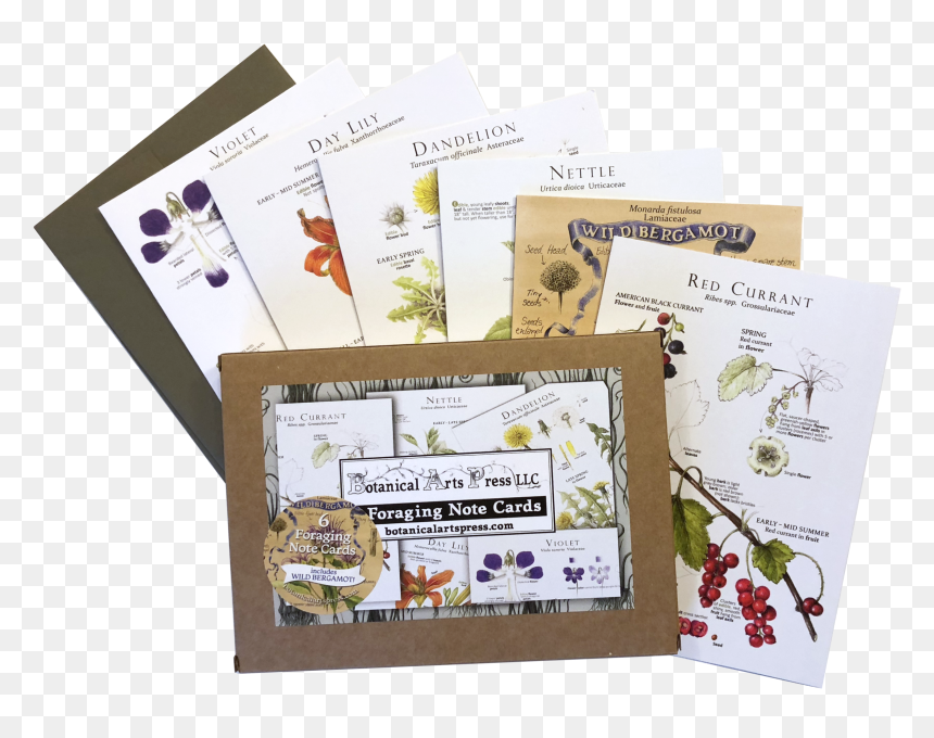 Notecardset2018b - Sketch Pad, HD Png Download - note card png