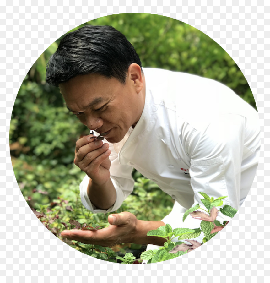 Chef Ian Kittichai At Tangerine"s Herb Garden "
 Class="img-responsive - Grass, HD Png Download - tangerine png
