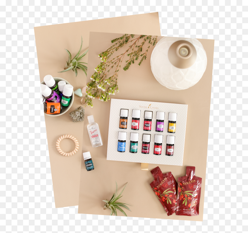 Jasmine, HD Png Download - young living png