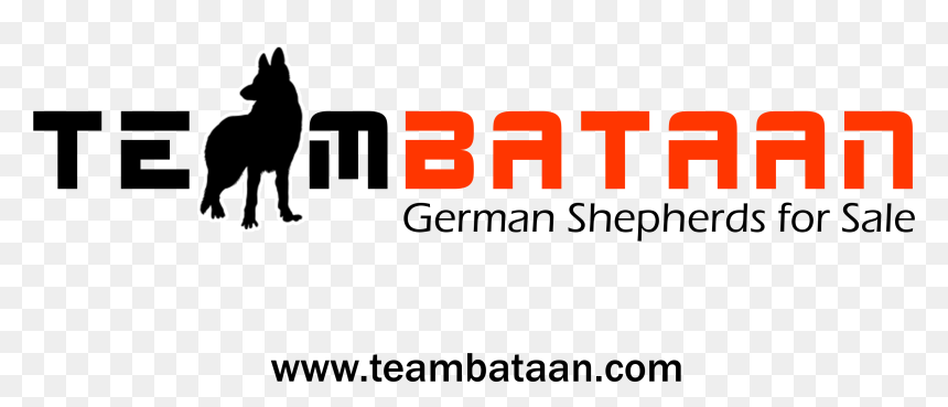 Soft Kennel, HD Png Download - german shepherd silhouette png