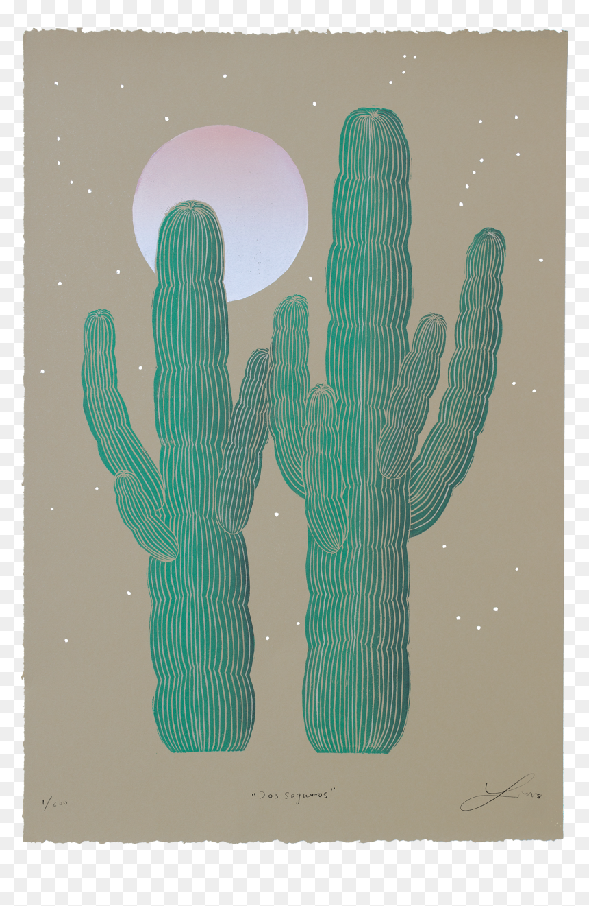 Pedro Cactus,succulent Plant - Illustration, HD Png Download - saguaro png