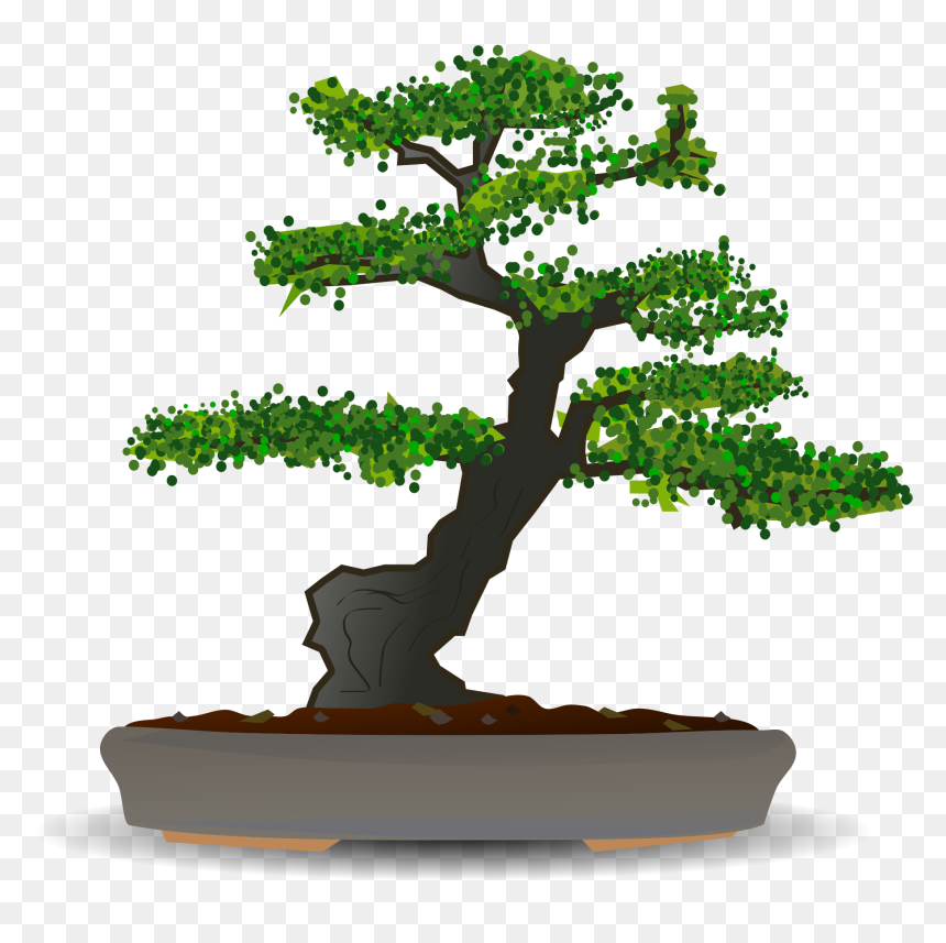 - Png V - 9 - 6 Photo, Japanese Tree - Bonsai Tree Vector Free, Transparent Png - japanese tree png