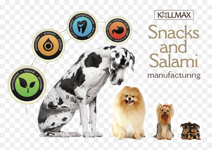 Salami , Png Download - Great Dane Harlequin Ble, Transparent Png - salami png