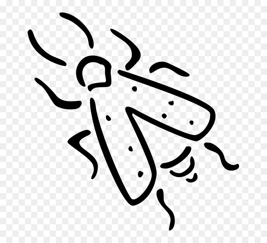 Vector Illustration Of Housefly Insect Fly Bug - Line Art, HD Png Download - house fly png