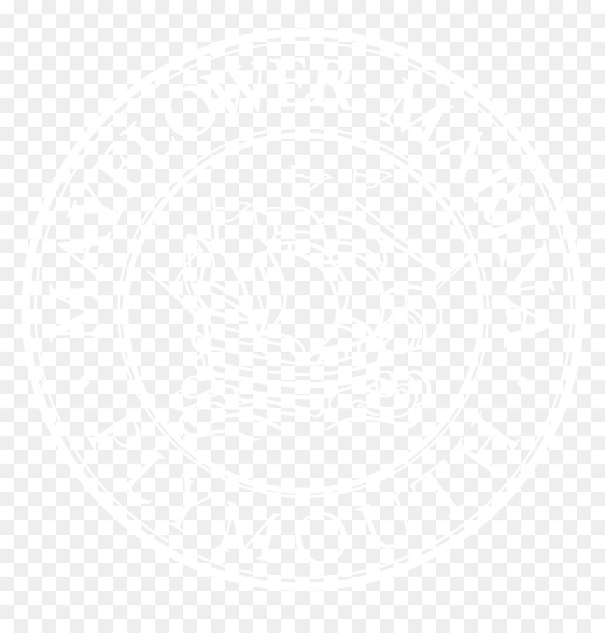 Emblem, HD Png Download - gold anchor png