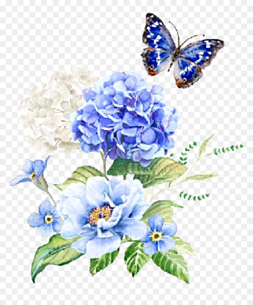 #watercolor #flowers #floral #bouquet #hydrangea #butterfly, HD Png Download - watercolor butterfly png