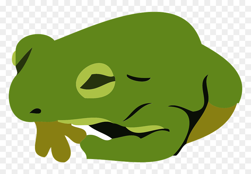 Japanese Tree Frog Clipart - กบ ไม่มี พื้น หลัง, HD Png Download - japanese tree png