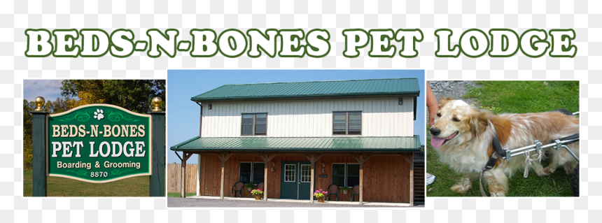Beds N Bones Pet Lodge, Batavia Ny, 343 - Roof, HD Png Download - dog bones png