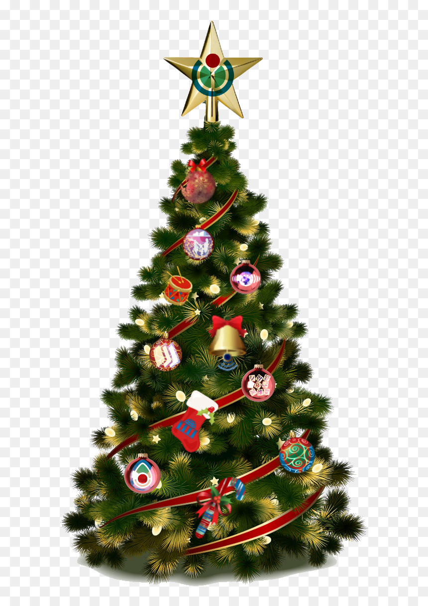 Wiki-mas Tree - Clear Png Christmas Tree, Transparent Png - spruce tree png