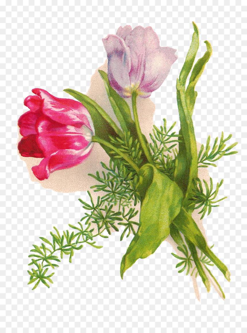 Easter Bunny Wedding Invitation Greeting & Note Cards - Vintage Easter Flowers, HD Png Download - note card png