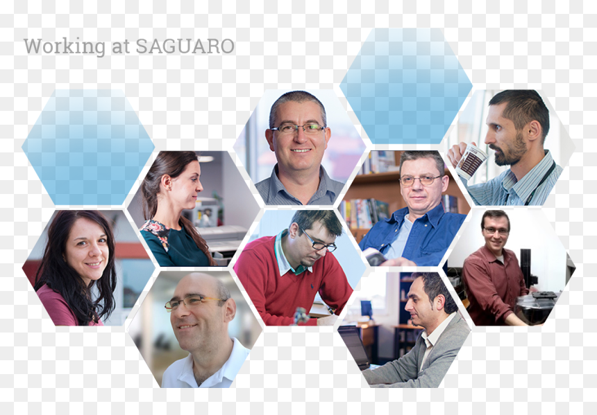 Saguaro Community And Careers - Collage, HD Png Download - saguaro png