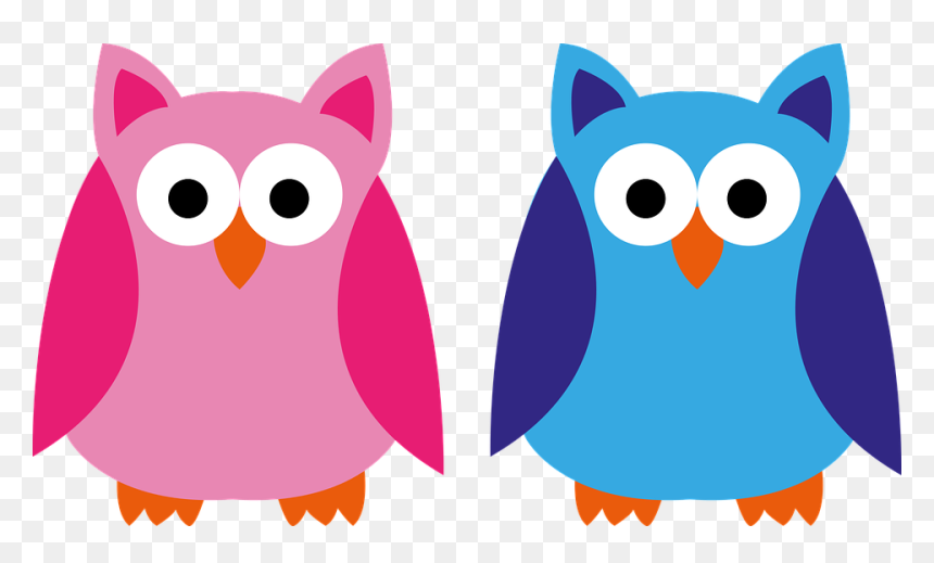 Coruja Rosa E Azul, HD Png Download - pink owl png