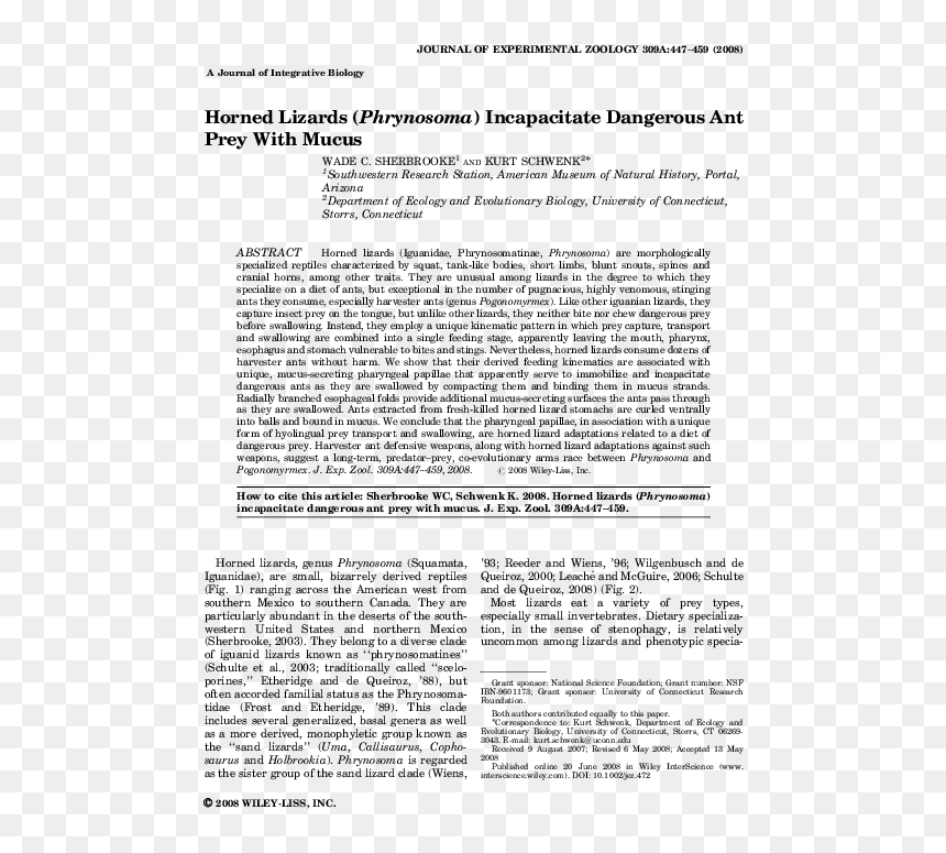 Document, HD Png Download - lizard tongue png