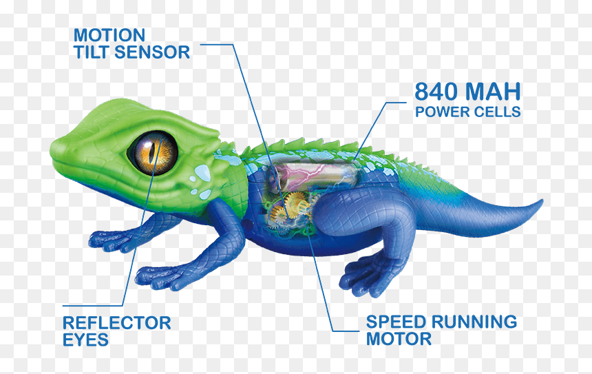 Robo Live, HD Png Download - lizard tongue png