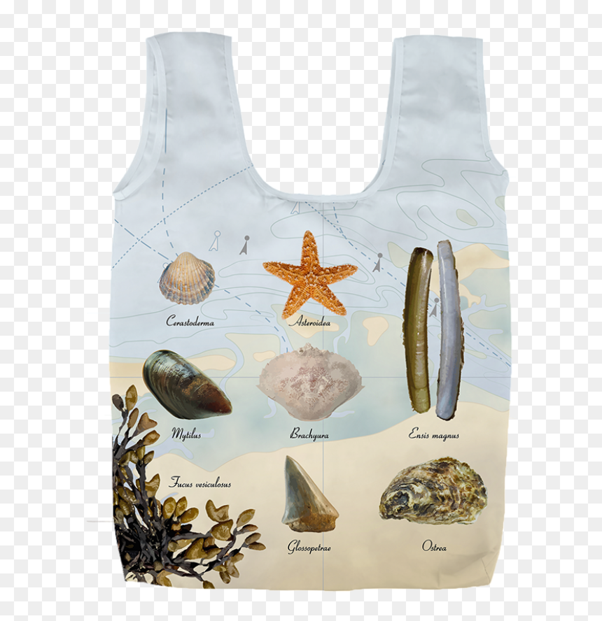 Beach Foldable Bag - Prickly Pear, HD Png Download - saguaro png