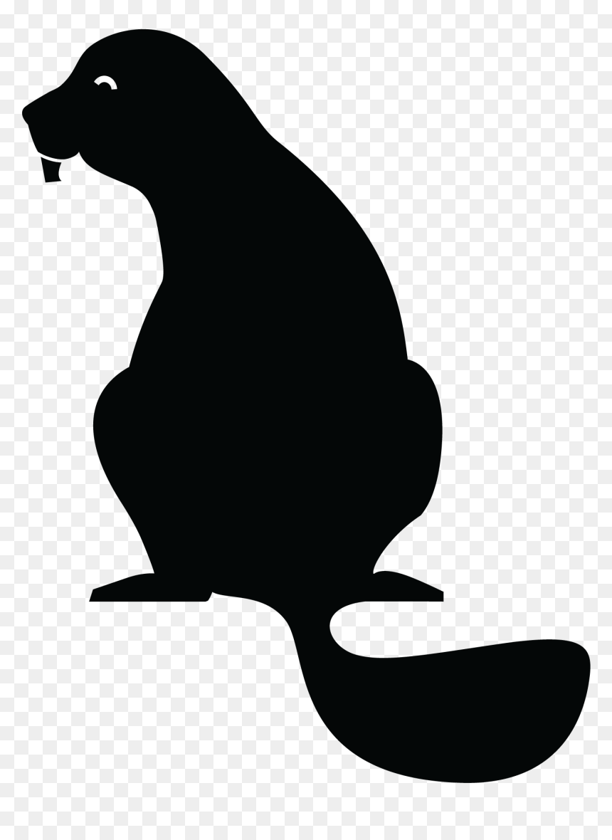 Logo - Beaver Works Summer Institute, HD Png Download - summer rae png