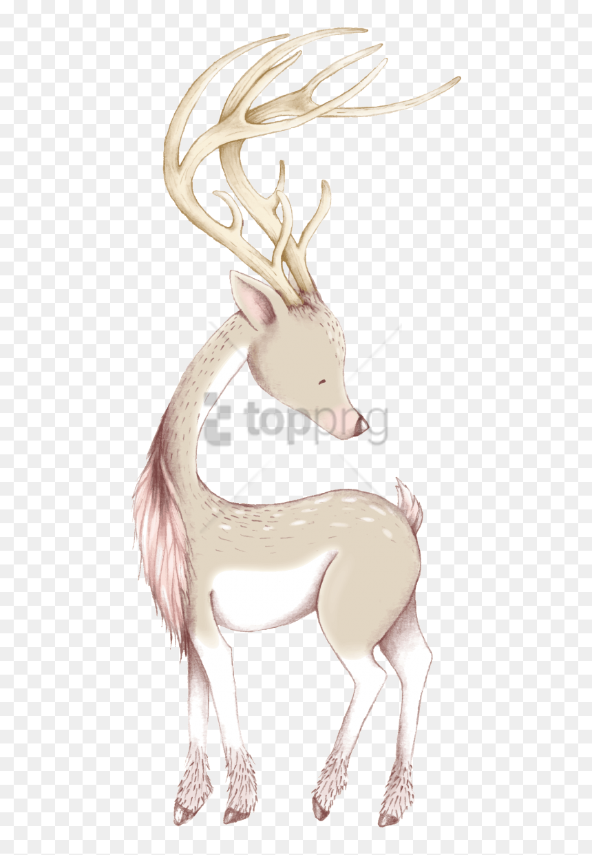 Free Png Download Cute Christmas Deer Ornaments & Oval - Reindeer, Transparent Png - christmas deer png