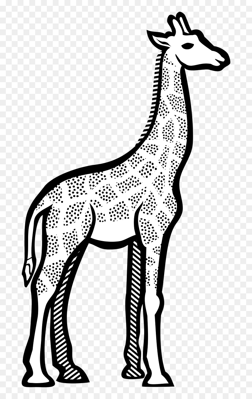 Giraffe In Art Drawing, HD Png Download - giraffe cartoon png
