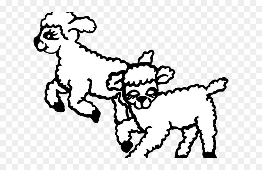 Transparent Sheep Clipart Png - Lambs Clipart, Png Download - lamb clipart png