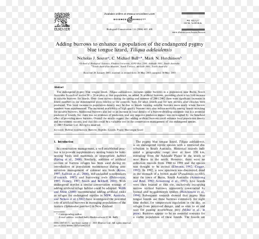 Case Study Of Matrix Organization, HD Png Download - lizard tongue png