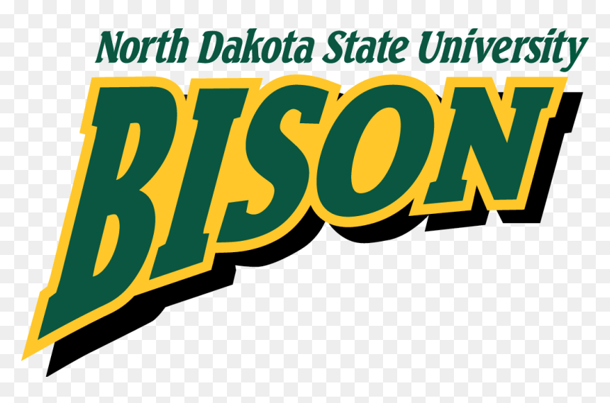 Bison 2005-11 - North Dakota State Team, HD Png Download - m bison png