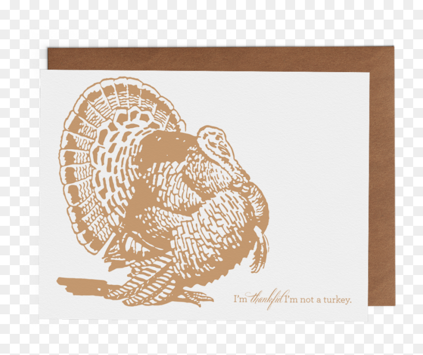 Transparent Ruffed Grouse Clipart - Wild Turkey, HD Png Download - wild turkey png
