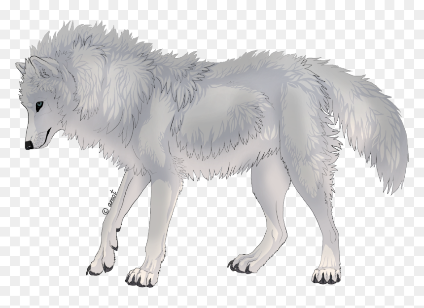 Canis Lupus Tundrarum, HD Png Download - angry wolf png
