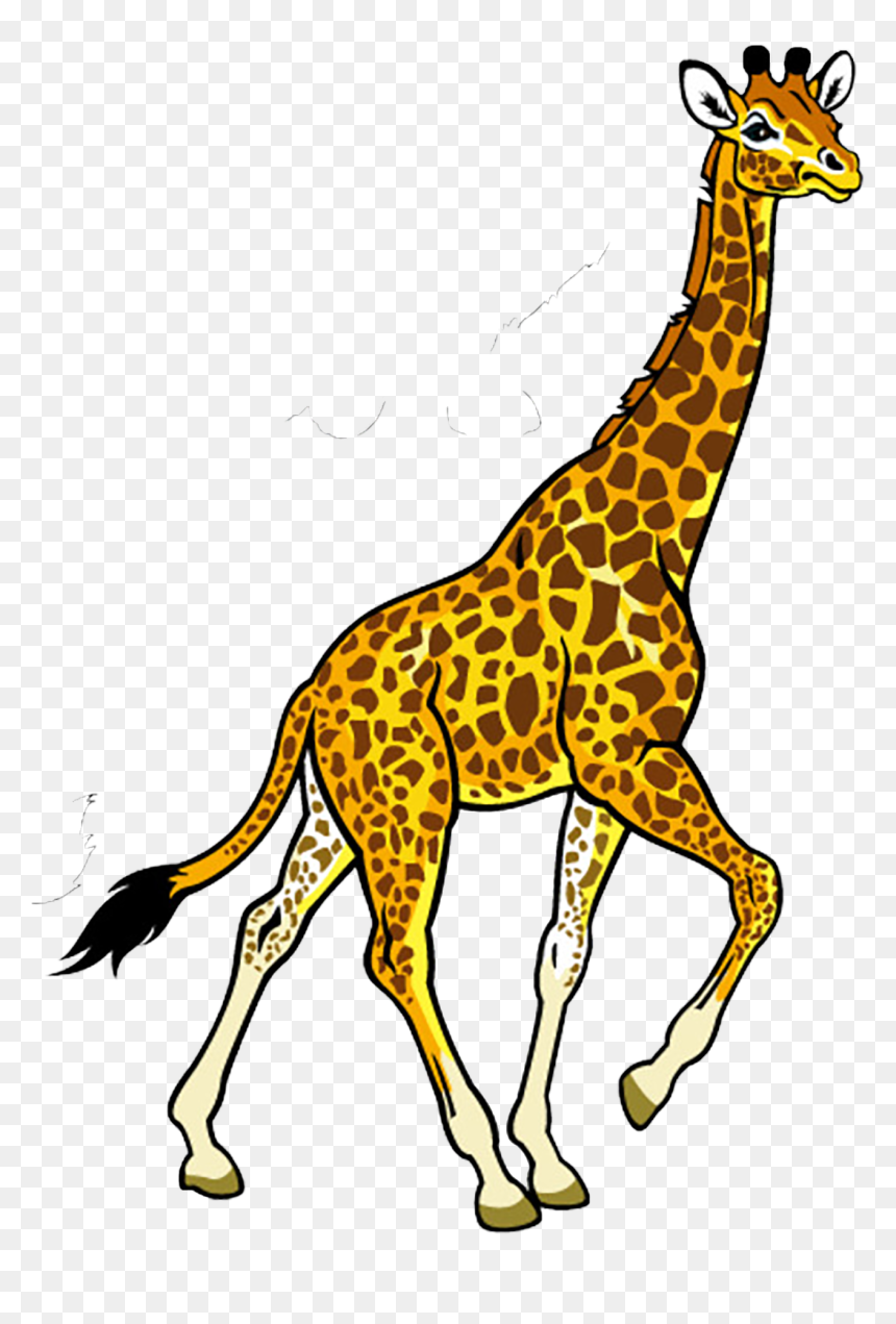 Fauna Of Africa Baby - Nairobi National Park, HD Png Download - giraffe cartoon png